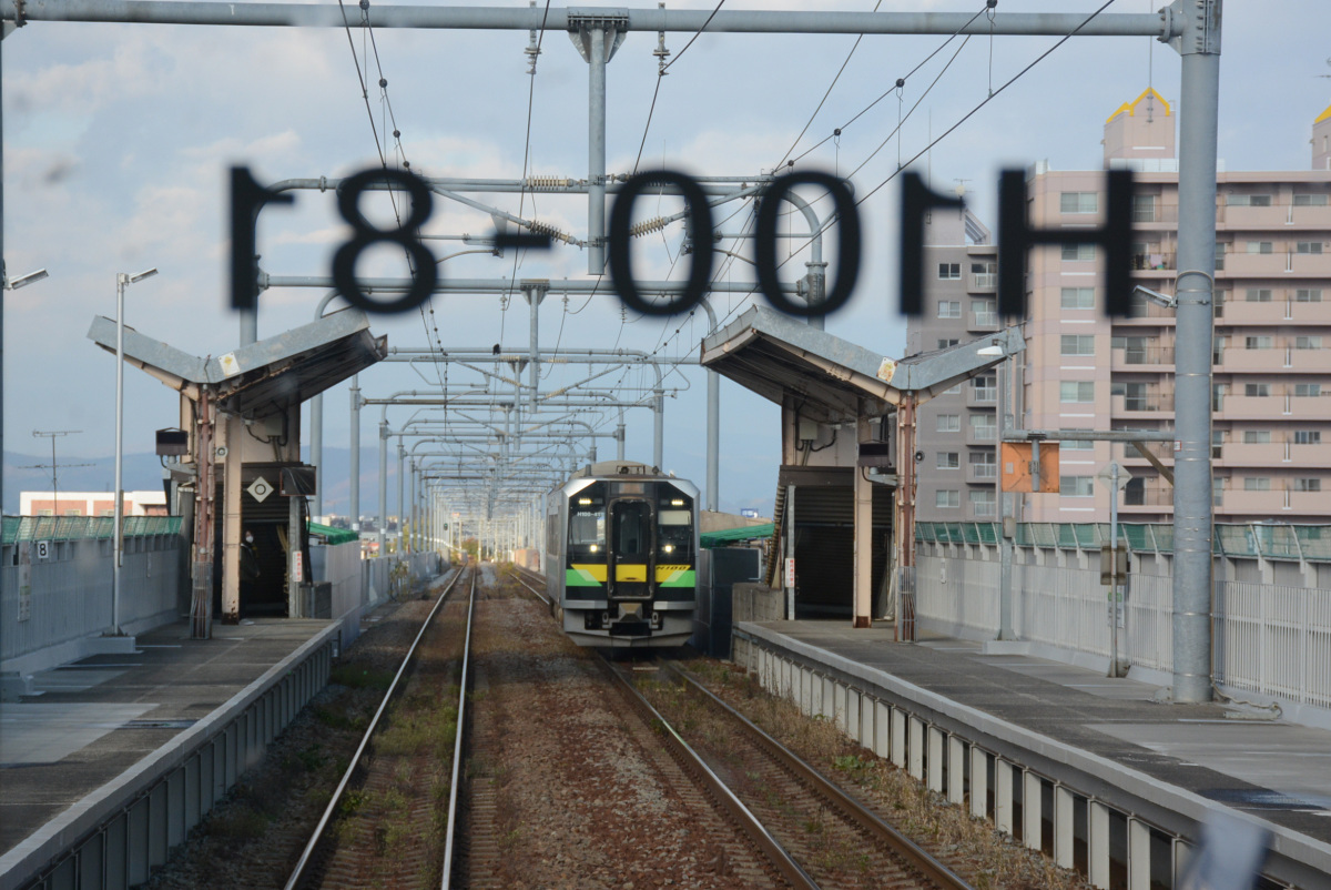 241029