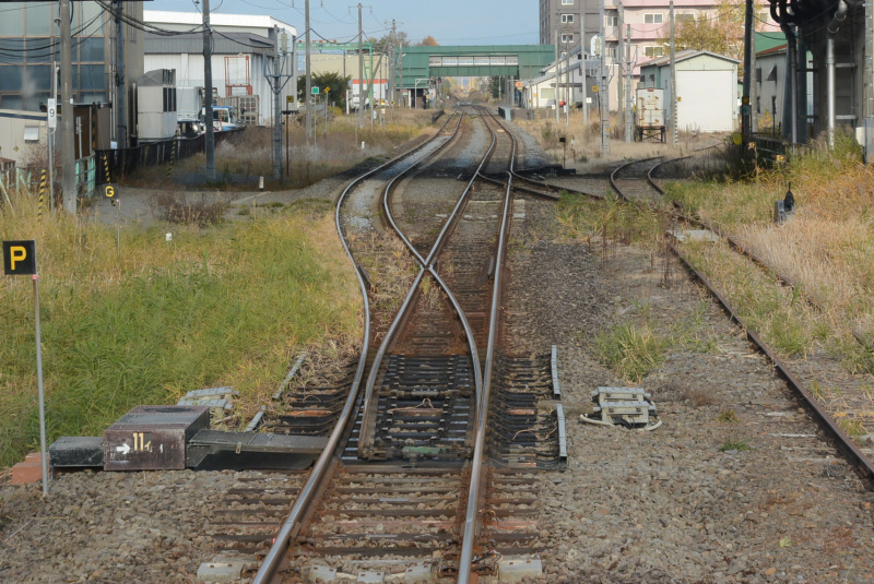 241029